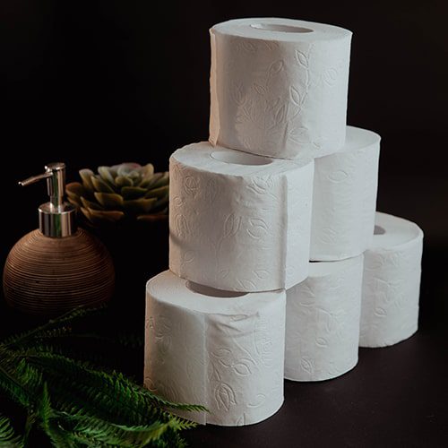 5 Eco-Friendly Reasons to Switch to Sugarcane Toilet Rolls at Your Business Premises