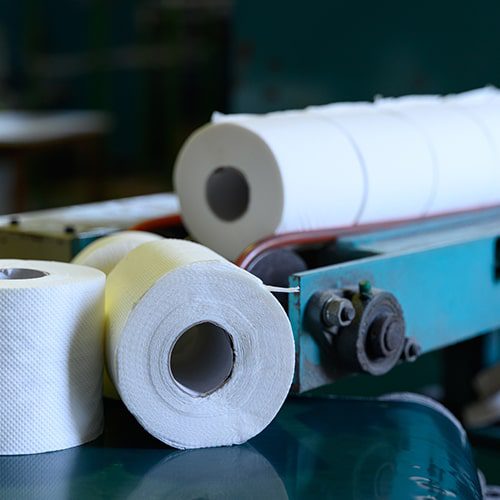 The Terrible Truth Behind Traditional Toilet Paper