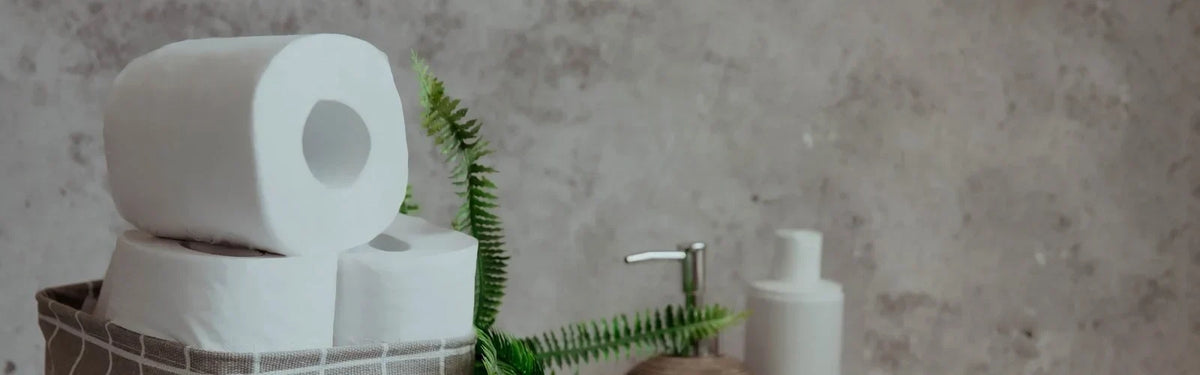 Toilet rolls in a fabric basket beside a fern and soap dispenser in a bathroom