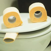 Loo Roll as Eyes on a Toilet Seat