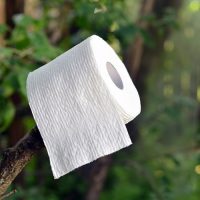 Toilet Roll in a Rainforest
